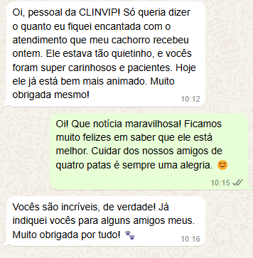 Captura de tela 2024-12-30 114511