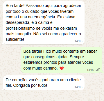 Captura de tela 2024-12-30 114608