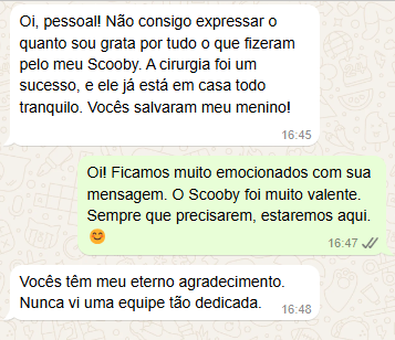 Captura de tela 2024-12-30 114802