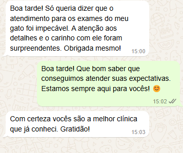 Captura de tela 2024-12-30 115042