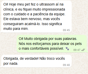 Captura de tela 2024-12-30 115127