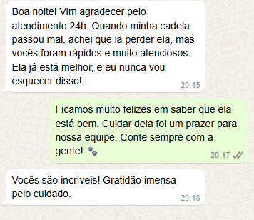 Captura de tela 2024-12-30 115210